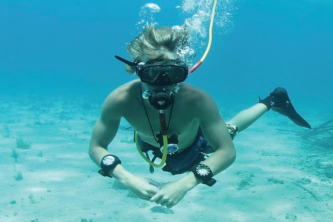 Punta Cana Party Cruise with Snorkeling, Hooka Diving and Parasailing - Parasailing above the Punta Cana coast