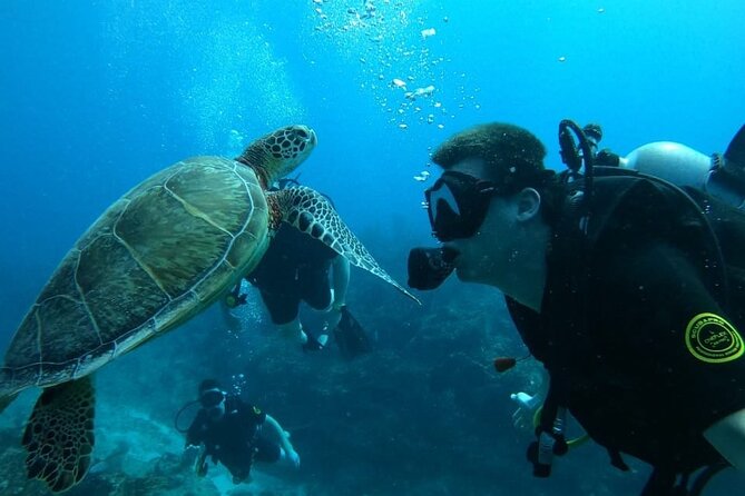 Punta Cana: Reef Diving Adventure Explore Underwater Wonders - What the Punta Cana reef outing is really like
