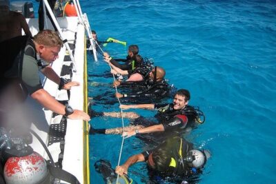 Punta Cana: Reef Diving Adventure Explore Underwater Wonders