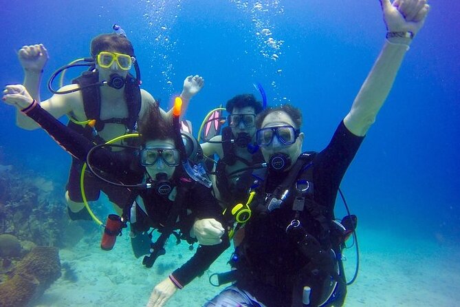 Punta Cana: Reef Diving Adventure Explore Underwater Wonders - Should you book this Punta Cana reef outing?