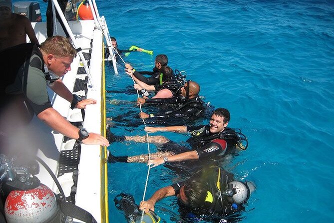 Punta Cana: Reef Diving Adventure Explore Underwater Wonders - From the hotel lobby to the water