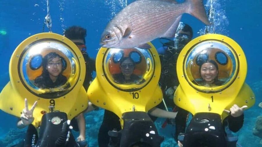 Punta Cana: Scuba Doo Underwater Scooter Adventure - Seeing fish and coral without a difficult scuba routine
