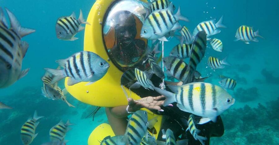 Punta Cana: Scubadoo Ocean Exploration Diving Adventure - The 15 to 20 minute ScubaDoo session