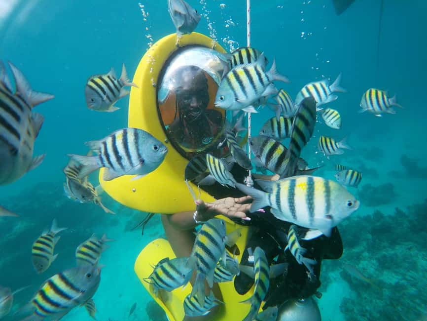 Punta Cana: Scubadoo Ocean Exploration Diving Adventure - From your hotel to Cabeza de Toro