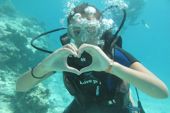 Red Sea Diving Trip from Hurghada: Beginner to Advanced Divers - Two underwater stops off Hurghada