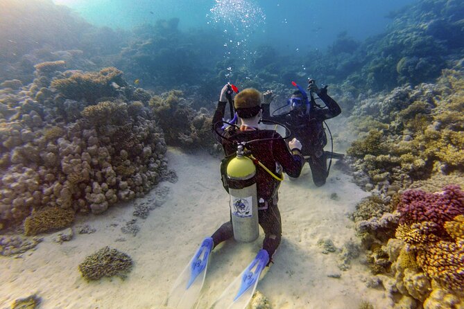 Red Sea Diving Trip from Hurghada: Beginner to Advanced Divers - Equipment and practical comfort
