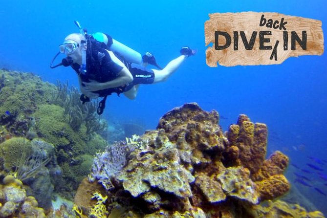 Refresher Dive - Key points to know before booking