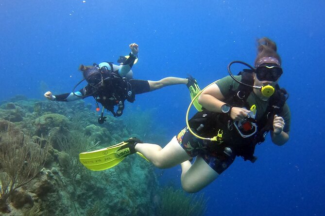 Refresher Dive - Getting reacquainted with your equipment