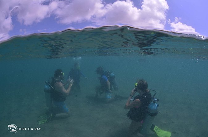 Refresher Dive - Moving from the bay to House Reef