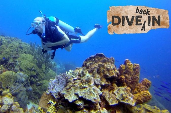 Refresher Dive - Morning or afternoon: choosing your time