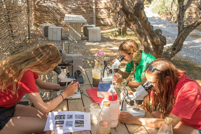 Research diving with a Marine Biologist in Crete - Why the small group matters