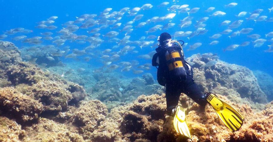 Rhodes: Diving Adventure for Beginners and Experts - Key points to know before booking