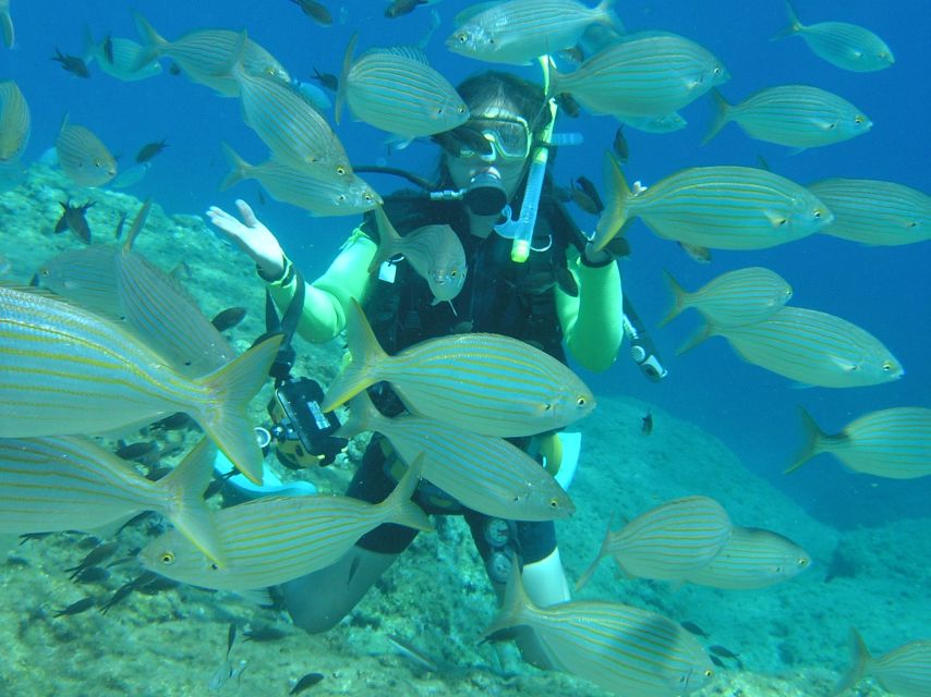 Rhodes: Diving Adventure for Beginners and Experts - A gentle first step into scuba at Kalithea