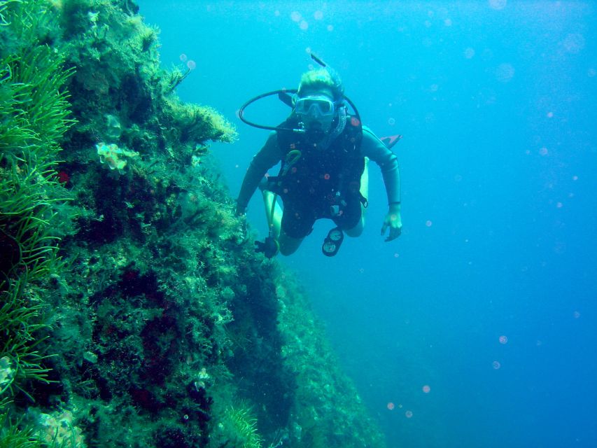 Rhodes: Diving Adventure for Beginners and Experts - Safety training before you enter the sea