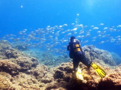 Rhodes: Diving Adventure for Beginners and Experts