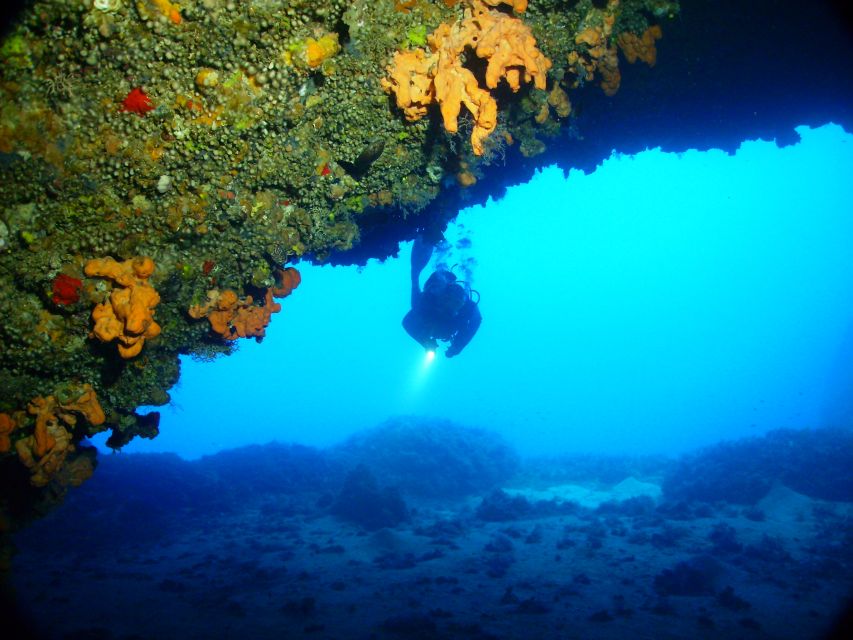 Rhodes: Diving Adventure for Beginners and Experts - Kalithea under the surface