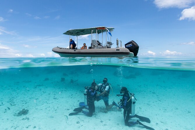 Romantic dive in the lagoon of Bora Bora. Private instructor on a shared boat - What happens at the 2 pm start