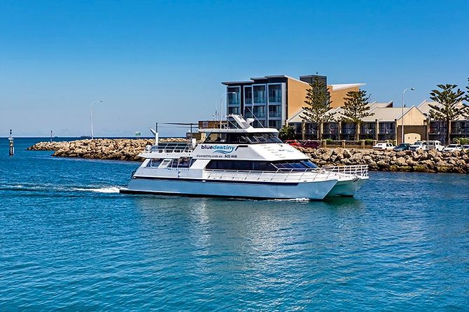 Rottnest Island scuba dive tour - Key points to know before booking