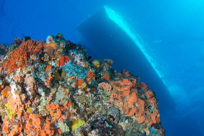 Rottnest Island scuba dive tour - Blue Destiny gives you room to recover