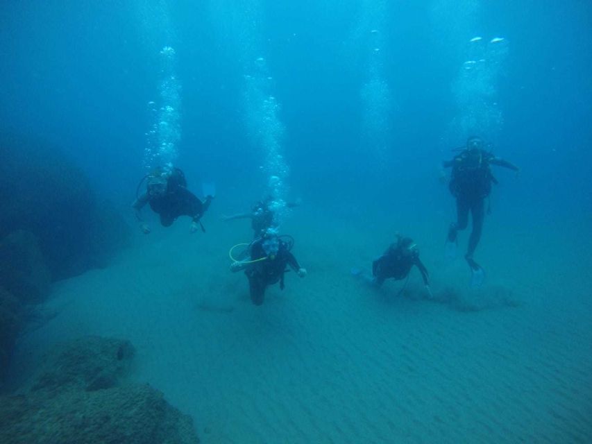 Salou: Scuba Diving for Beginners - Photos, equipment, and what the $100 buys