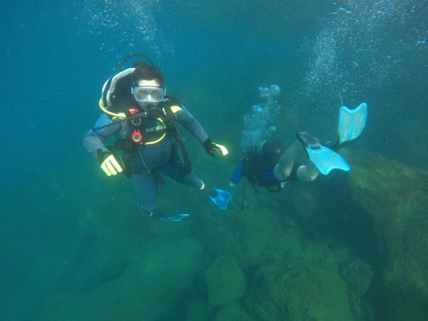 Salou: Scuba Diving for Beginners - Who will enjoy this, and who may want more