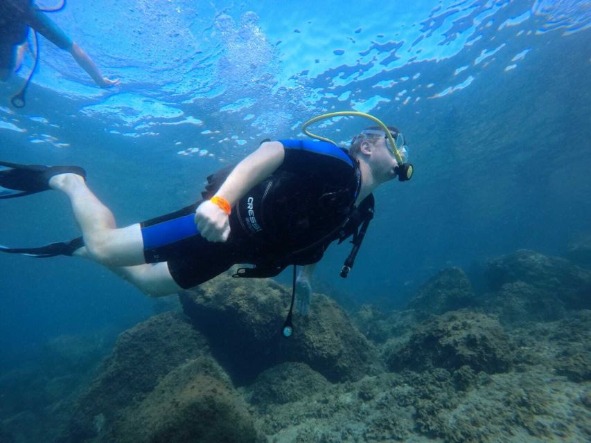 Salou: Scuba Diving for Beginners - What happens from hotel pickup to the water