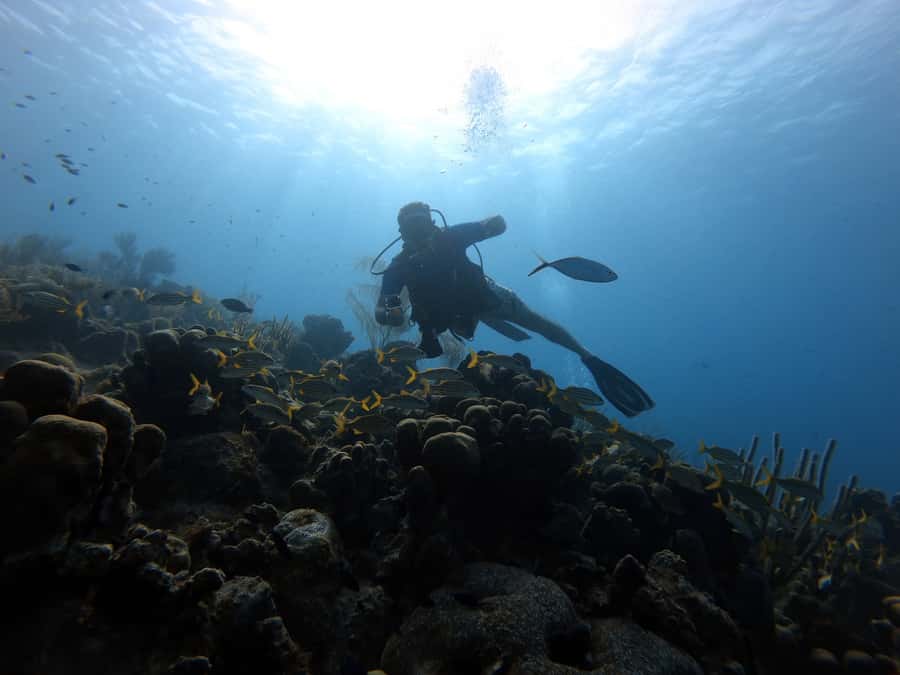 San Andres: Scuba Diving Experience with Hotel Pickup - Key points to know before booking