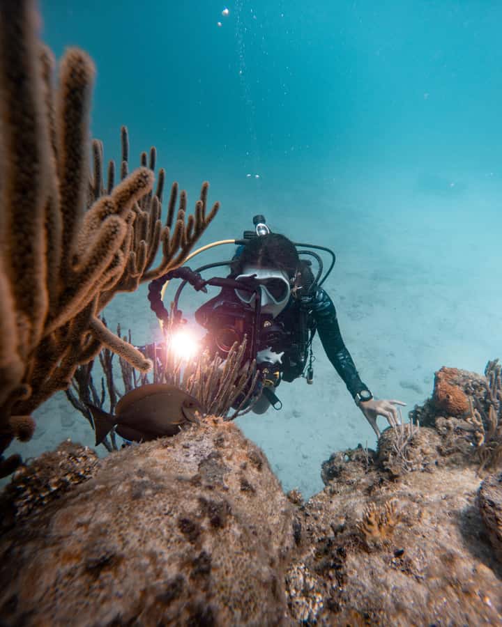 San Andres: Scuba Diving Experience with Hotel Pickup - A few practical tips for a smoother outing
