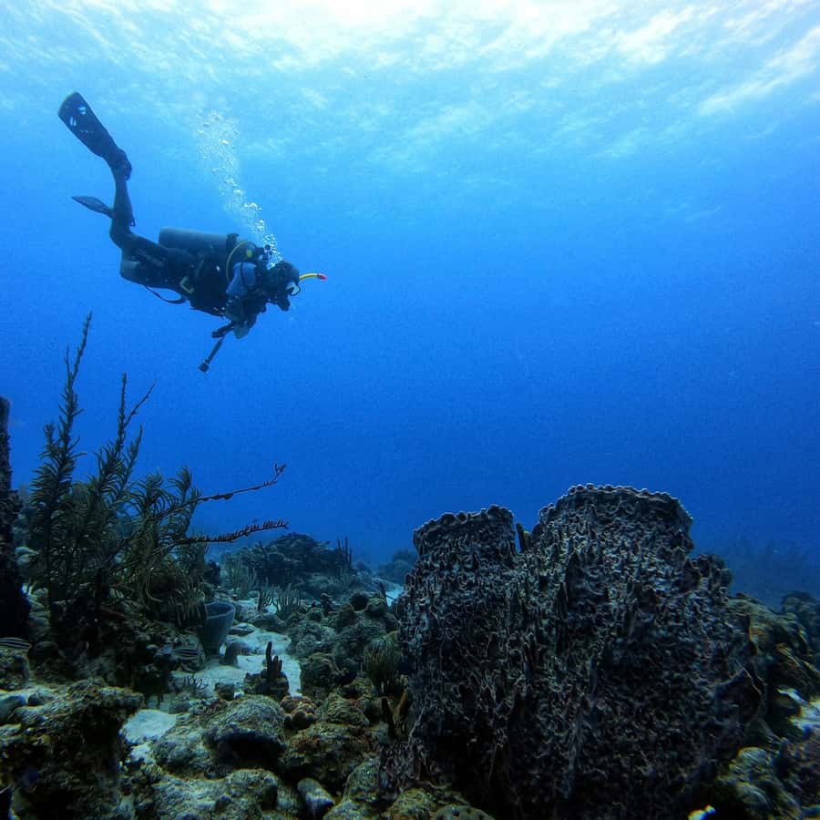 San Andres: Scuba Diving Experience with Hotel Pickup - What this San Andrés scuba session is really like