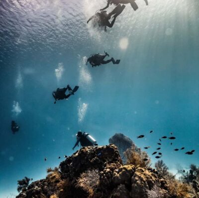 San Andres: Scuba Diving Experience with Hotel Pickup