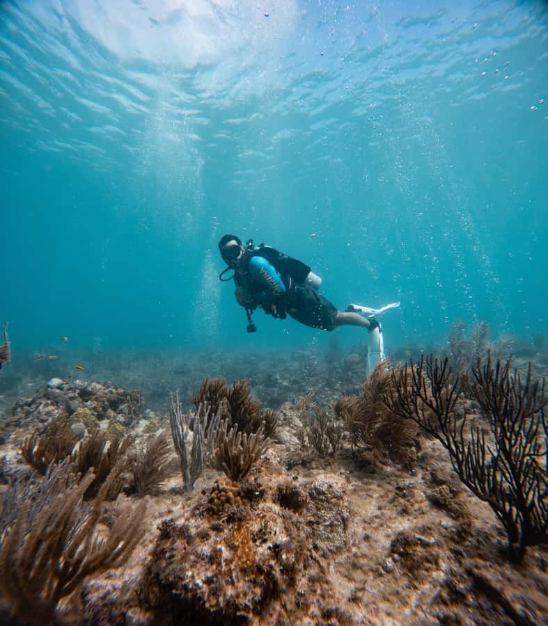 San Andres: Scuba Diving Experience with Hotel Pickup - Forty-five minutes below the surface