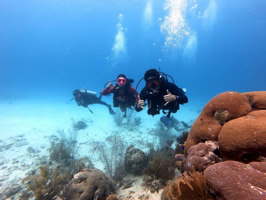 San Andres: Scuba Diving Experience with Hotel Pickup - What the $50 price includes