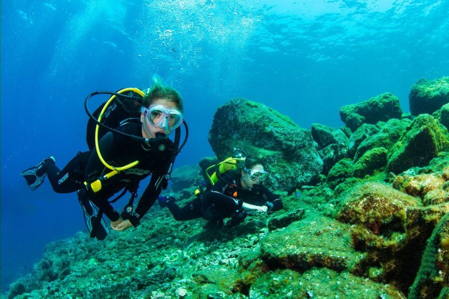 Santa Cruz de Tenerife: Beginner's Diving & Introduction - What this Santa Cruz underwater session is really like