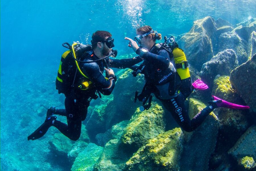 Santa Cruz de Tenerife: Beginner's Diving & Introduction - The final hour: showers, images, and a drink