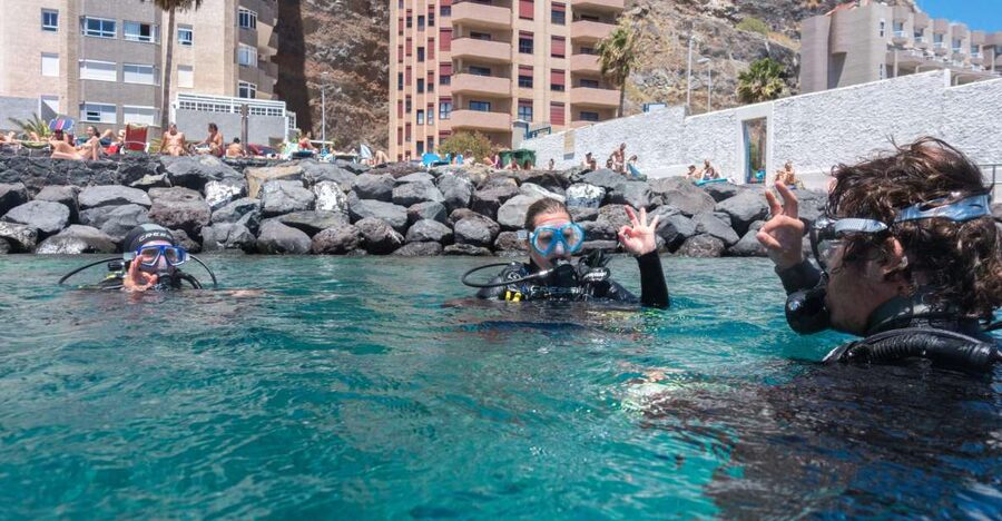 Santa Cruz de Tenerife: PADI Introductory Dive - A Gentle Start in Radazul Bay