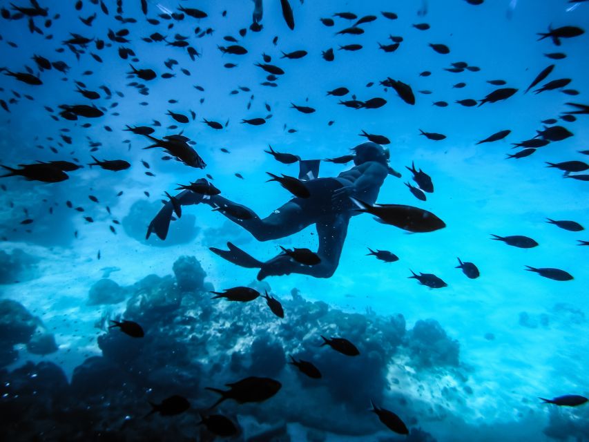Santorini: Scuba Diving Experience for Beginners - From Oia to Amoudy Bay, Then Out to Armeni