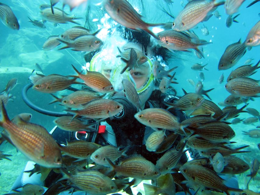 Santorini: Scuba Diving Experience for Beginners - Why the Instructors Matter So Much