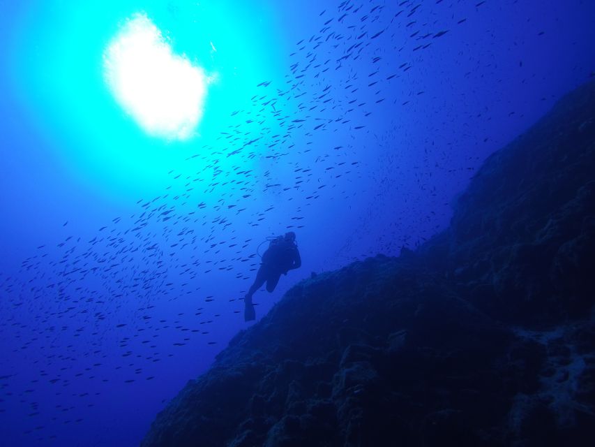 Santorini: Scuba Diving Experience for Beginners - FAQ