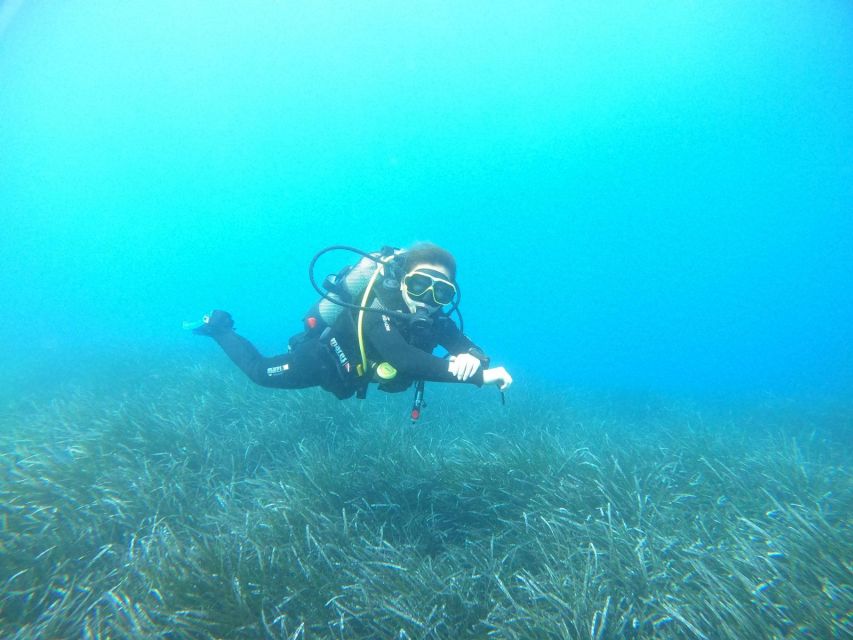 Santorini: Scuba Diving Experience in Caldera for Beginners - Who will enjoy this most