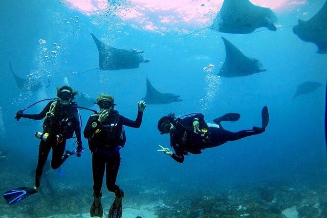 Sanur Open Water Course learn diving in 3 Days - Get certified & Dive everywhere - From Sanur theory to your first underwater session
