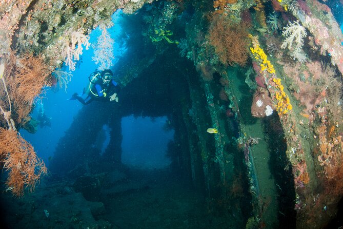 Sanur Open Water Course learn diving in 3 Days - Get certified & Dive everywhere - Who should book this course