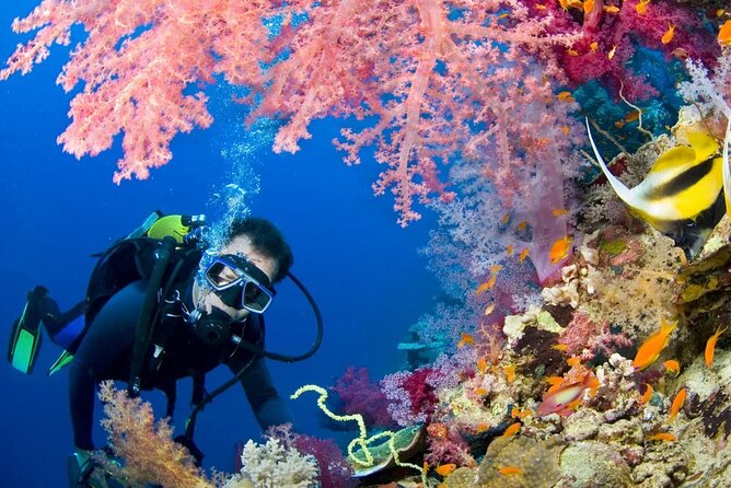 Scuba Beginner Diving and Snorkeling with Lunch From Hurghada - Starting at 8:30 am from your Hurghada hotel
