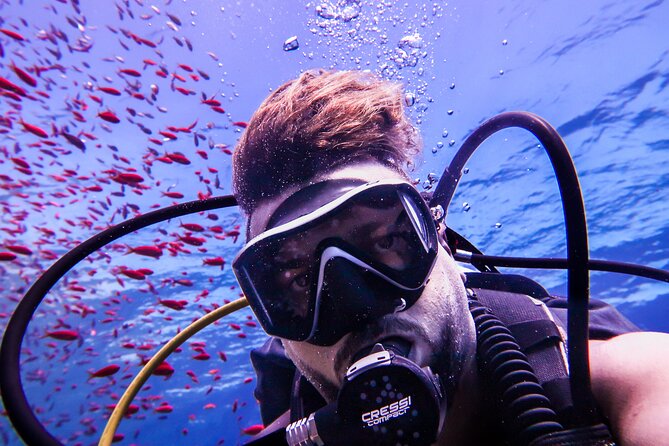 Scuba Dive and Explore Aqaba's Red Sea with a Private Guide - Equipment, comfort, and safety in the water