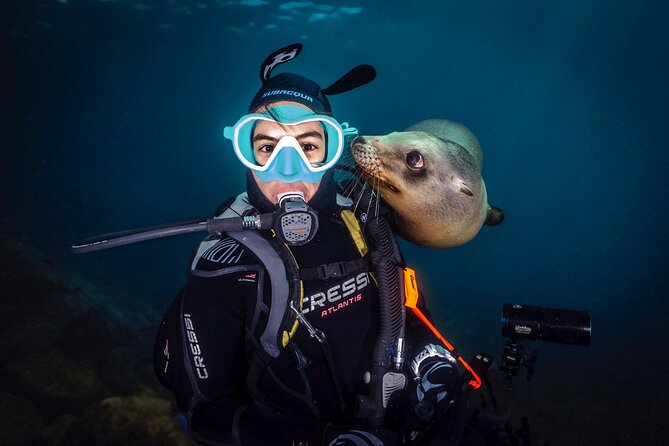 Scuba Dive in La Paz: Sea Lions, Turtles, Fish Schools and Wrecks - What the $226.40 price really covers