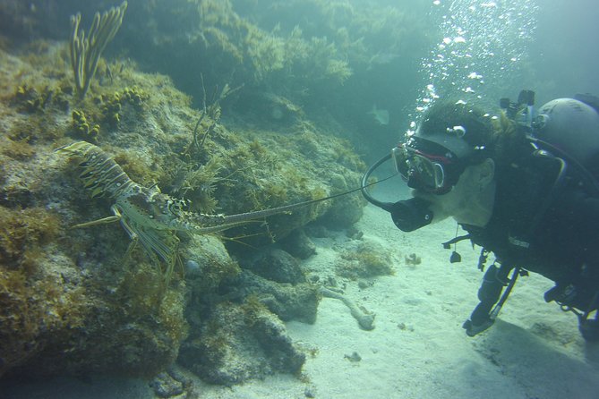 SCUBA Dive Key Largo Reef (min 6 divers) - Why a six-person boat changes the day