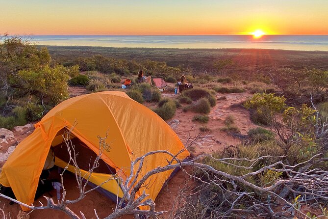 Scuba Dive Ningaloo Reef - Safety, certification, and physical demands