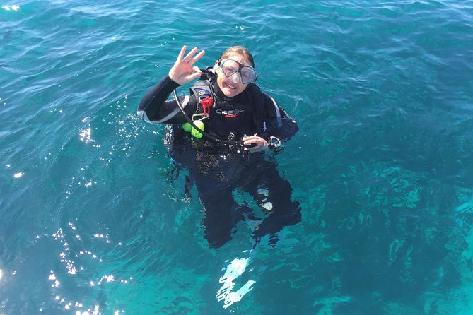 Scuba Dive The Beautiful Rottnest Island for Certified divers - Why Rottnest works so well for an underwater day