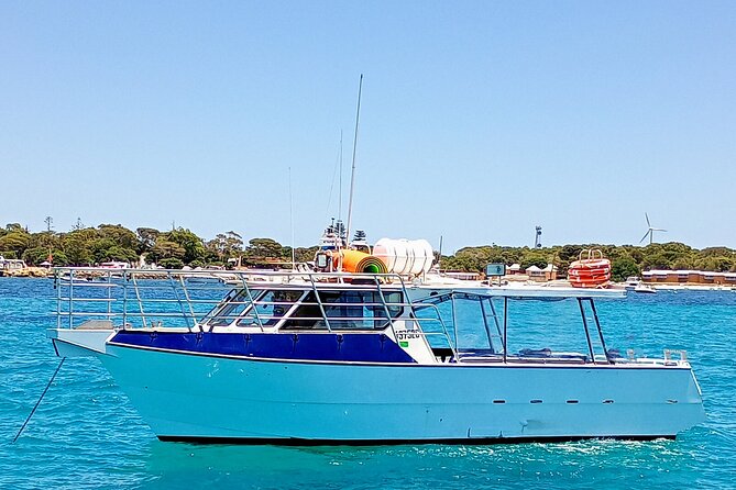 Scuba Dive The Beautiful Rottnest Island for Certified divers - Who will get the most from this trip