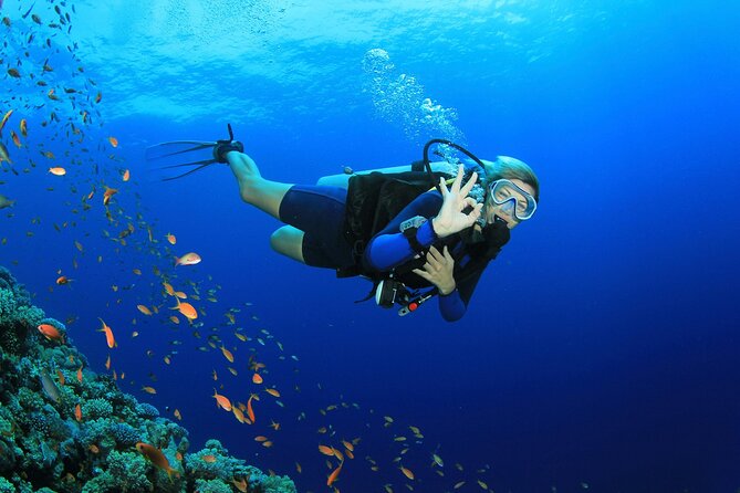 Scuba dive with sharing transfers - What the three-hour Dubai session is really like
