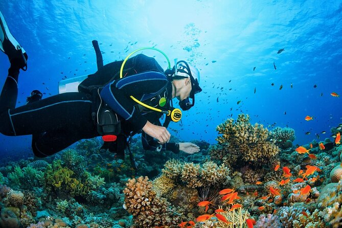 Scuba dive with sharing transfers - Why the small group limit matters